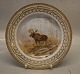 239-3549  Fauna Danica Middagstallerken 25 cm: ELG "Alces Alces" . Nyt# 624  Kongelig Dansk Porcelæn