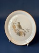 Jagtstellet Mads Stage Asiet / Buttercup,SnipeDiameter. 10.2 cm