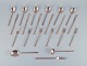 emne nr: 550439