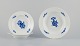 item no:
552113 item no:
552113