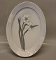 Art Nouveau 108 -10008 RC Oval Platter 38.5 x 17.5 cm On the Margueritte form 2nd pre 1923 Royal Copenhagen