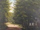 emne nr:
554337
