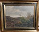 K. E. Lindgreen: Motif with Rebild Bakker 1929​