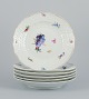 emne nr: 555799