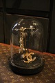 Dekorativ , gammel cylinderformet fransk glas Dome/ Globe på sort træ bund til udstilling...