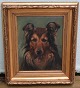 Dog Painting: Border Collie Signed "BOB" Simon Simonsen 1910  26 Oild on canvas 49 x 41 cm