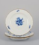 item no:
562672 item no:
562672