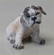 Dahl Jensen figur 1139 Engelsk bulldog hvalp (DJ) 7 cm