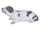 Royal Copenhagen figurineBasset dog from 1898-1923