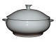 ApollonStor suppeterrin