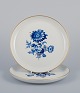 item no:
566066 item no:
566066
