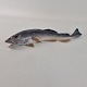RC figur457Torsk