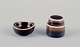 item no:
568105 item no:
568105
