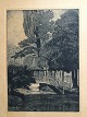 emne nr:
568602