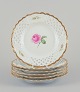 item no:
568733 item no:
568733