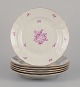 item no:
569606 item no:
569606
