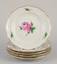 item no:
570282 item no:
570282