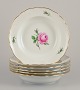 item no:
570286 item no:
570286