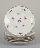 item no:
570736 item no:
570736