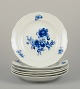 item no:
570757 item no:
570757