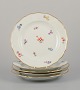 item no:
570777 item no:
570777