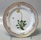 Kongelig Dansk Porcelæn Flora Danica 20- 3554-3533 "Papaver Nudiauele L" Flad tallerken med gennemskåret bort