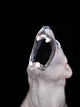 Lars Dyrendom: No #8 Polar Bear  RC 502 Photo including glass and wooden frame 62.5 x 42.5 cm