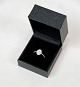 Diamant Ring - 18 Karat hvidguld - Stemplet 750 - Udsmykket Med 53 Brillanter - Carat