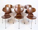 Sæt Af 6 Spisebordsstole - Model 3101 - Myren - Palisander - Sjælden - Arne Jacobsen - Fritz Hansen - 1950erne