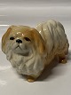 Dog figure Pekingese faience.Meter. 8 X 11.5 cm.