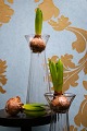 Old mouth-blown hyacinth glass from Holmegaard glassworks in clear glass…
