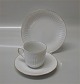 Opus  B&G porcelain China with and without gold