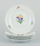 item no:
604897 item no:
604897