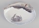 item no:
608147 item no:
608147