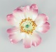 item no:
610068 item no:
610068