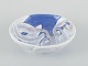 item no:
613818 item no:
613818