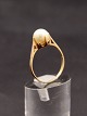 14 karat guld ring med ægte perle