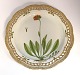 Royal Copenhagen. Flora Danica. Rundt serveringsfadmed gennembrudt kant. Model # 3528. Diameter 33 cm. (1 sortering). Hieracium aurantiacum L