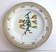 Royal Copenhagen Flora Danica. Dinner plate. Design # 3549. Diameter 25 cm. (1 quality). Spartium scoparium L