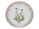 Flora DanicaLuncheon plate 22 cm. #3572