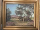 emne nr:
623569