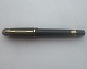 Modern Waterman fountain pen
