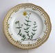 Royal Copenhagen. Flora Danica tallerken med gennemskåret bort. Diameter 25 cm. Model 3553. ( 1 sortering ). Helianthemum vulgare L