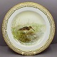 Royal Copenhagen, Flora Danica jagtstel; Middagstallerken 25,5 cm nr. 3549