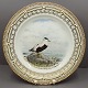 Royal Copenhagen, Flora Danica jagtstel; Middagstallerken 25,5 cm nr. 3549