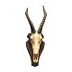 Jagttrofæ Gazelle