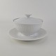 RC bouillonkopGeorgiana17 cm