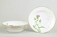 item no:
631755 item no:
631755