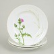 item no:
631756 item no:
631756
