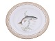 Flora DanicaMiddagstallerken med fisk 25,5 cm. #3549